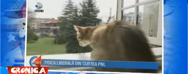 Pisica liberala – 18.04.2018