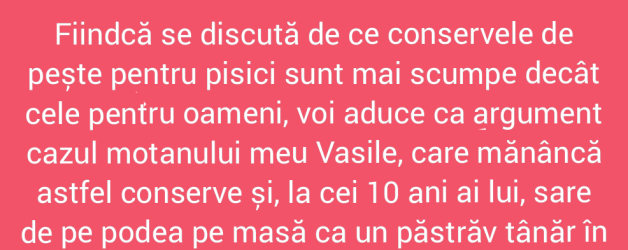 Când pisica mănâncă mai sănătos decât omul