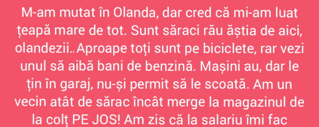 Țeapa olandeză