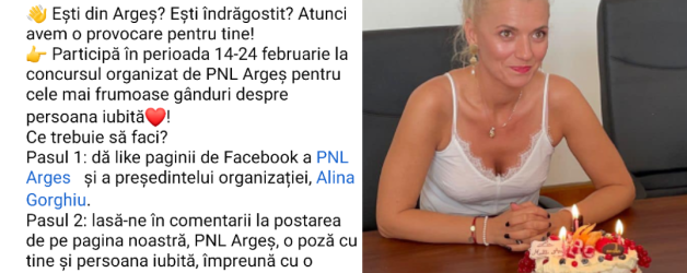 O nouă culme a penibilului: PNL ne cere să îi dăm Like Alinei Gorghiu de Valentine’s Day. Eu dau, dar cu o condiție: