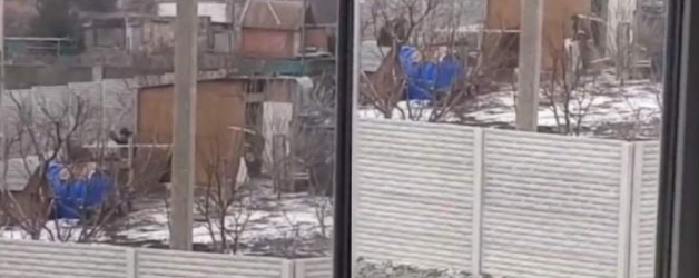 Soldații ruși filmați în timp ce furau găini în Ucraina voiau doar să elibereze găinile de ucrainenii care le țineau prizoniere!