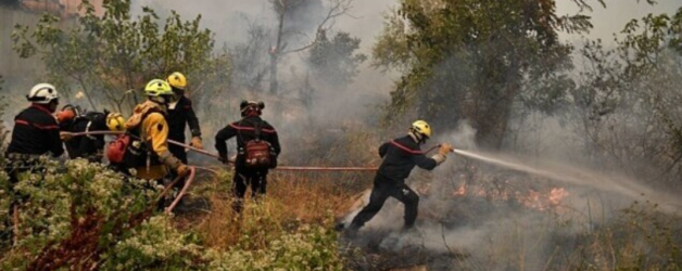 Bine că nu avem incendii pe litoralul românesc. Pe lângă cei 150 de lei pentru șezlong, ne mai cereau 2-300 și pentru extinctor!