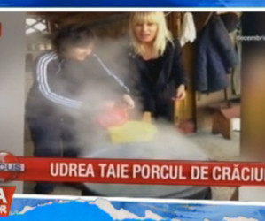 Udrea taie porcul de Craciun – 23.12.2015