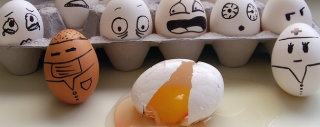 Membrii unui partid acuzat de găinării …. aruncă cu ouă!