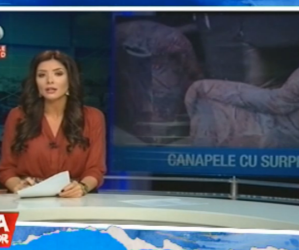 Balbe din TV IV – 02.11.2016