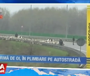 Cu oile pe autostrada – 15.03.2017