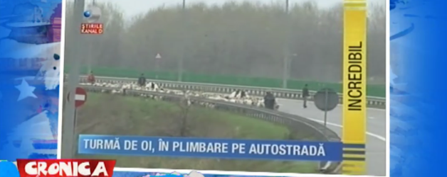 Cu oile pe autostrada – 15.03.2017